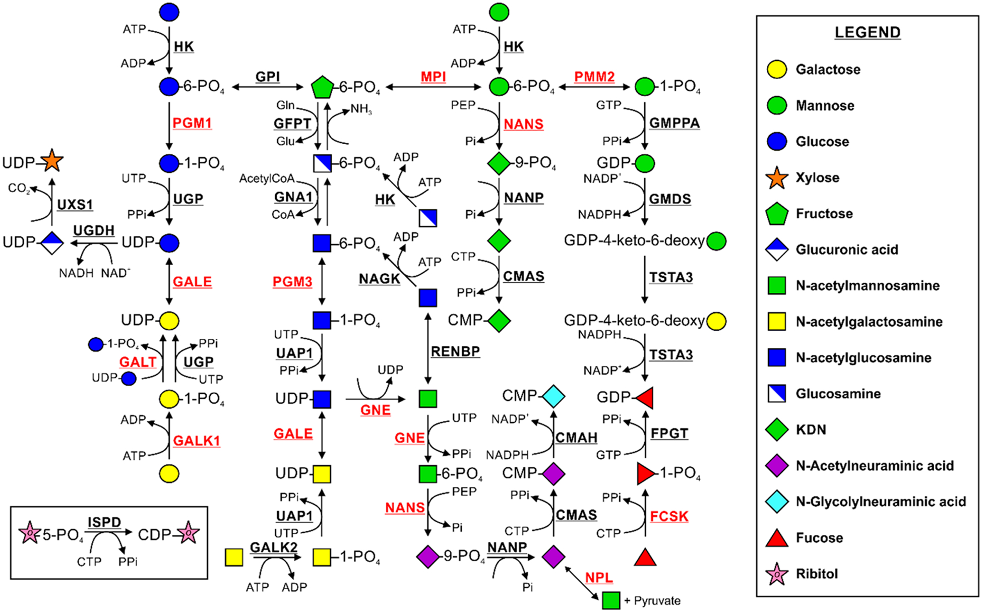 Figure 1.