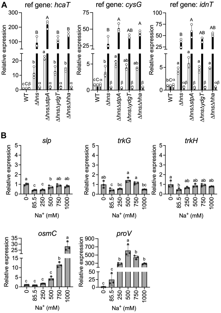 Figure 6