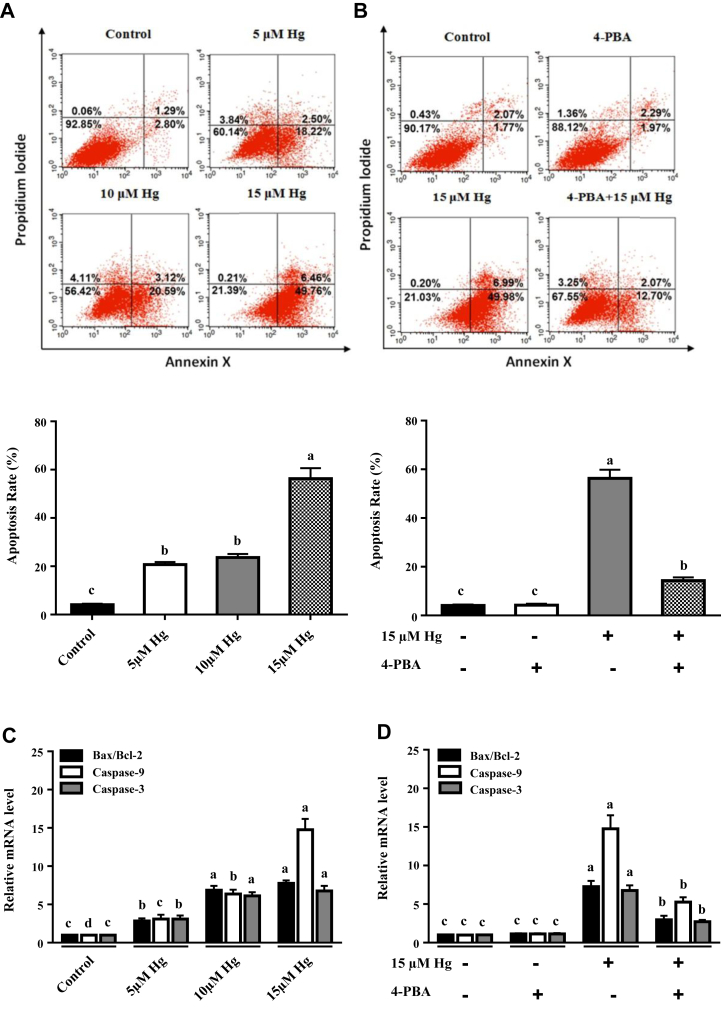 Figure 3