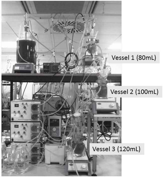 FIGURE 1