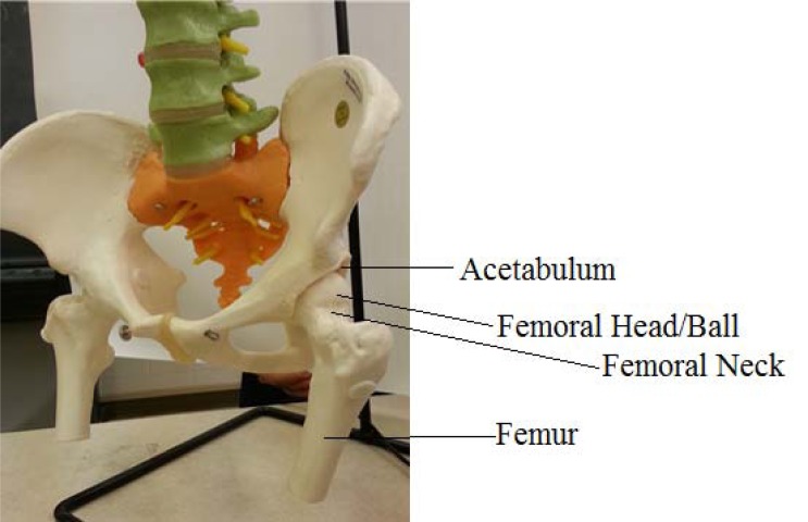 Fig. (2)