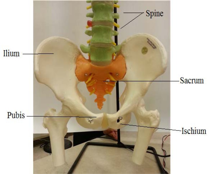 Fig. (3)