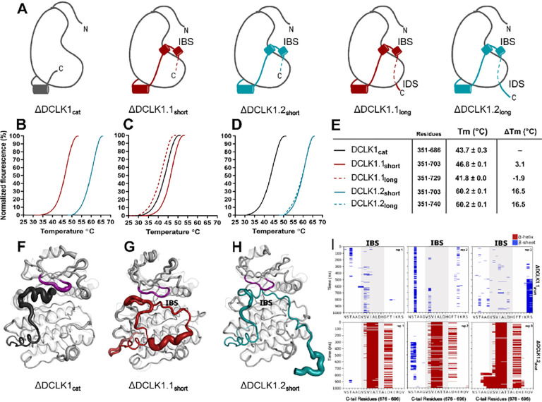 Figure 5: