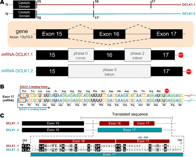 Figure 4: