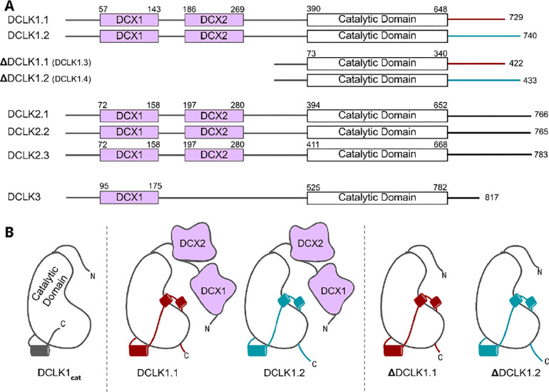 Figure 1: