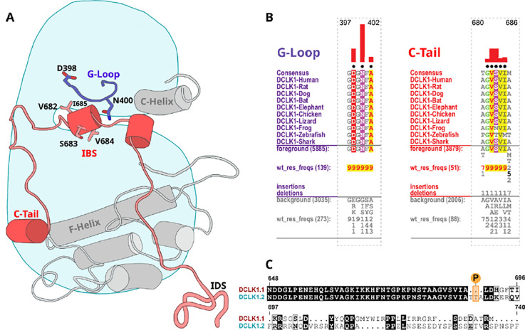 Figure 6: