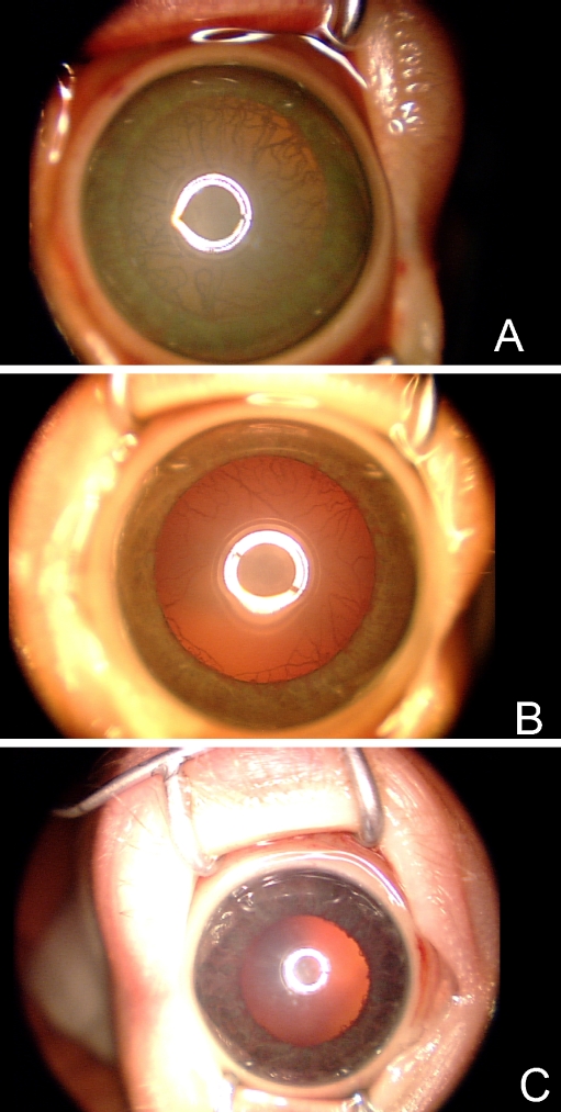 Fig. 3