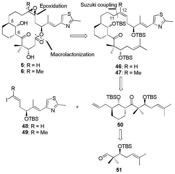 Scheme 8