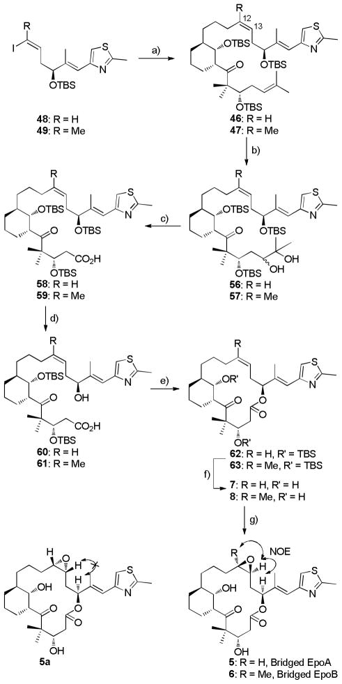 Scheme 10