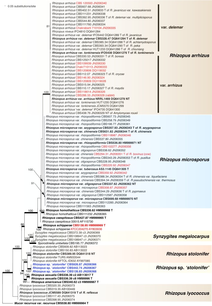 Fig. 10.