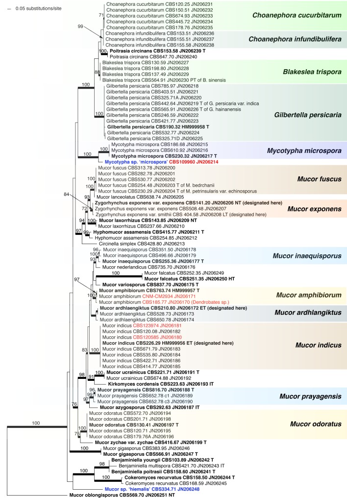 Fig. 6.