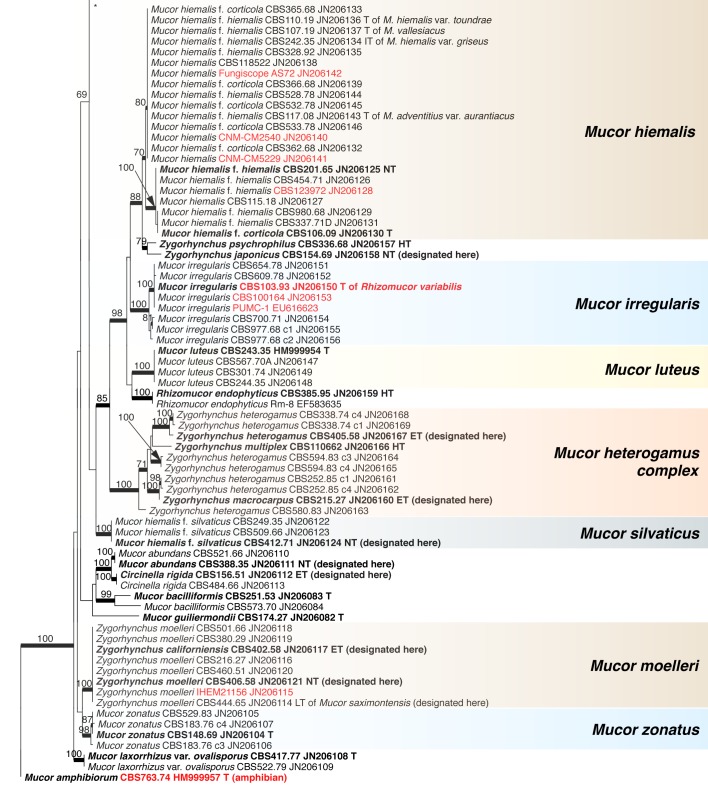 Fig. 3.