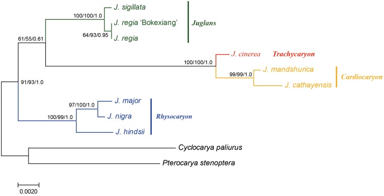 FIGURE 4