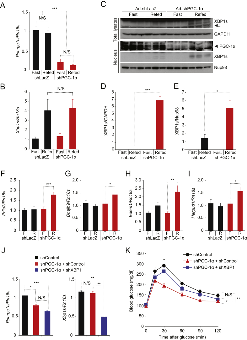 Figure 6