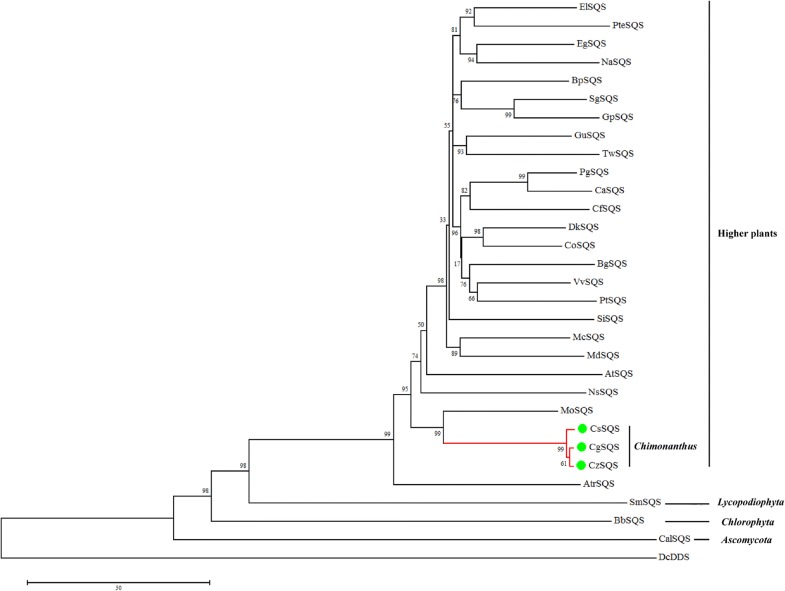 Fig. 4