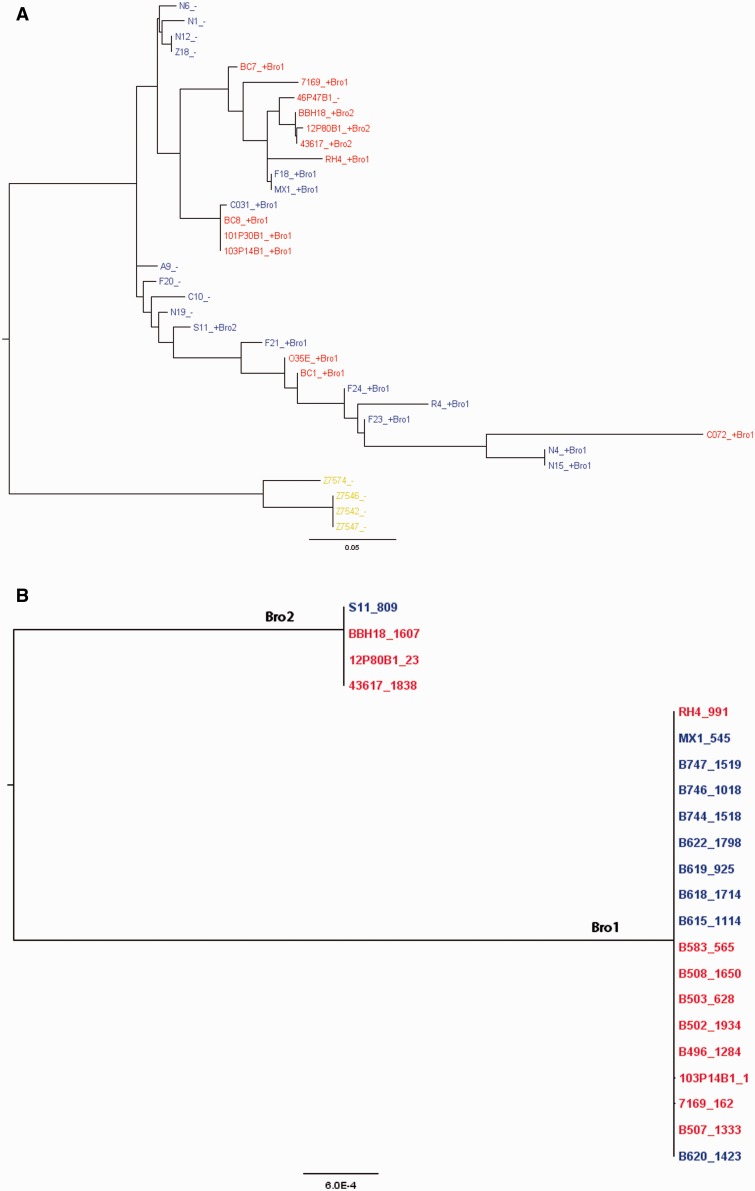 Fig. 6.—