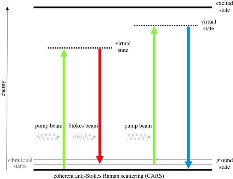 Figure 4.