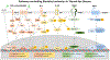 Figure 3 -