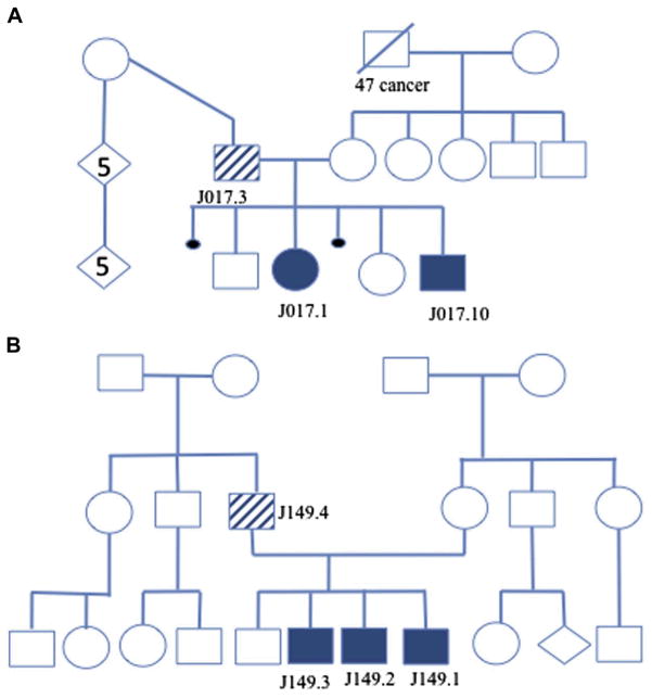 FIG 1