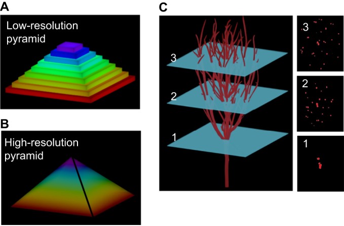 Fig. 3.