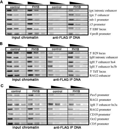 Fig 4.