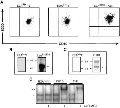 Fig 3.