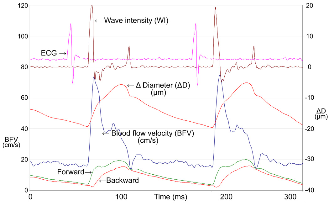 Fig. 10