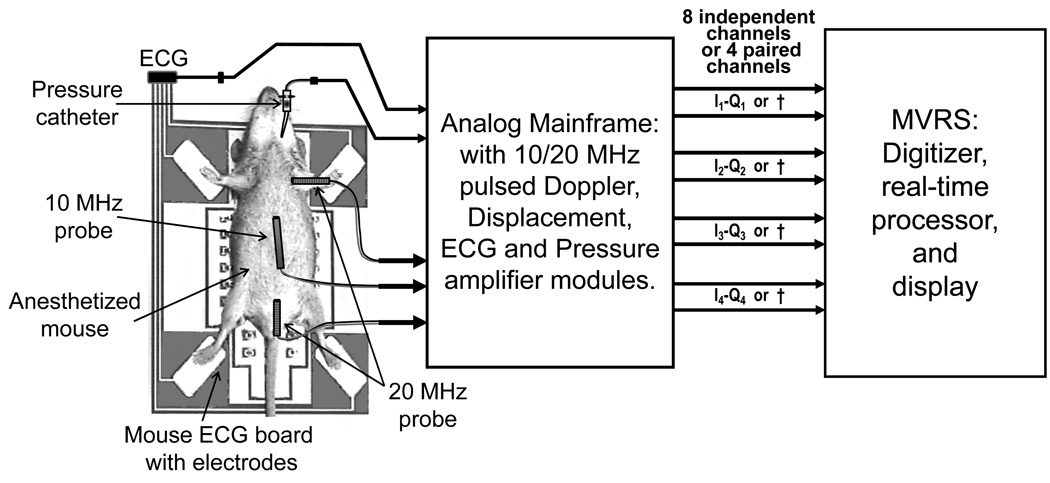 Fig. 6