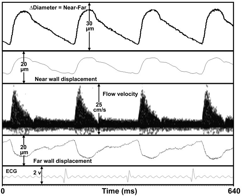 Fig. 8