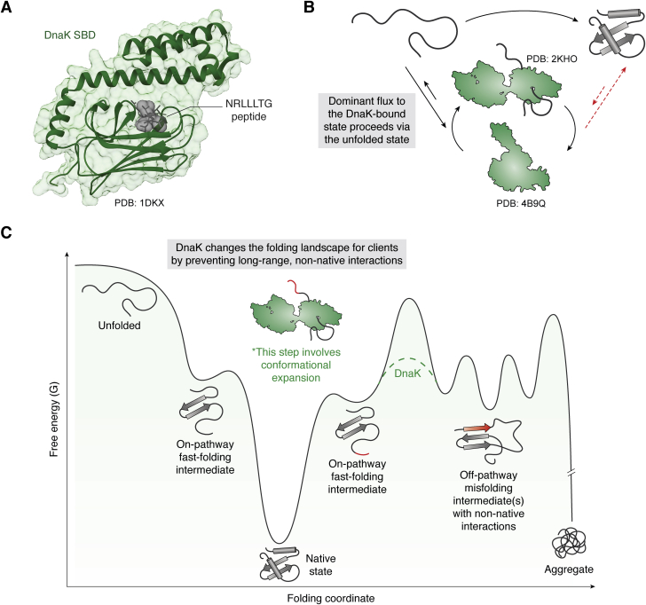 Figure 4