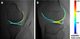 Fig. 2a, b