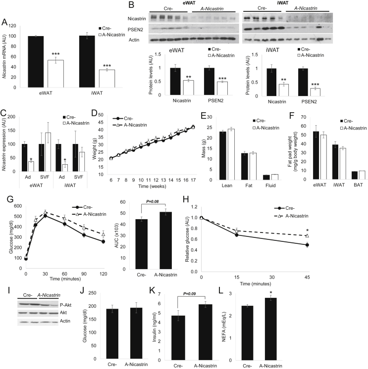 Figure 5