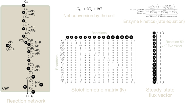 Figure 6.