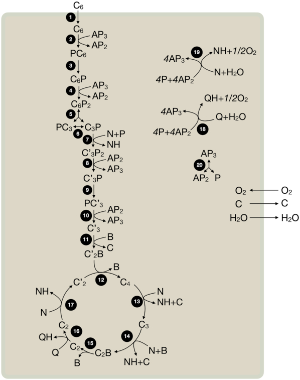 Figure 7.