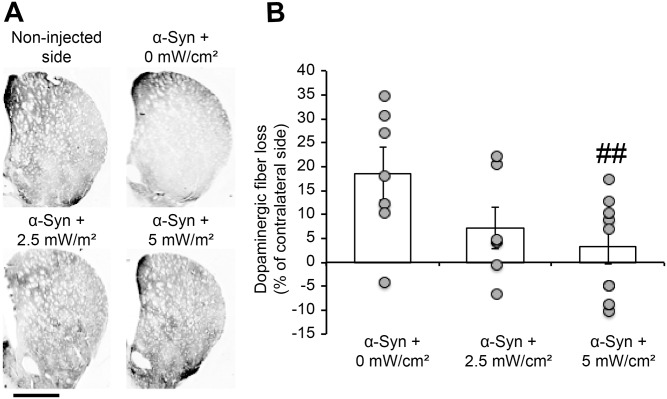 Fig 5