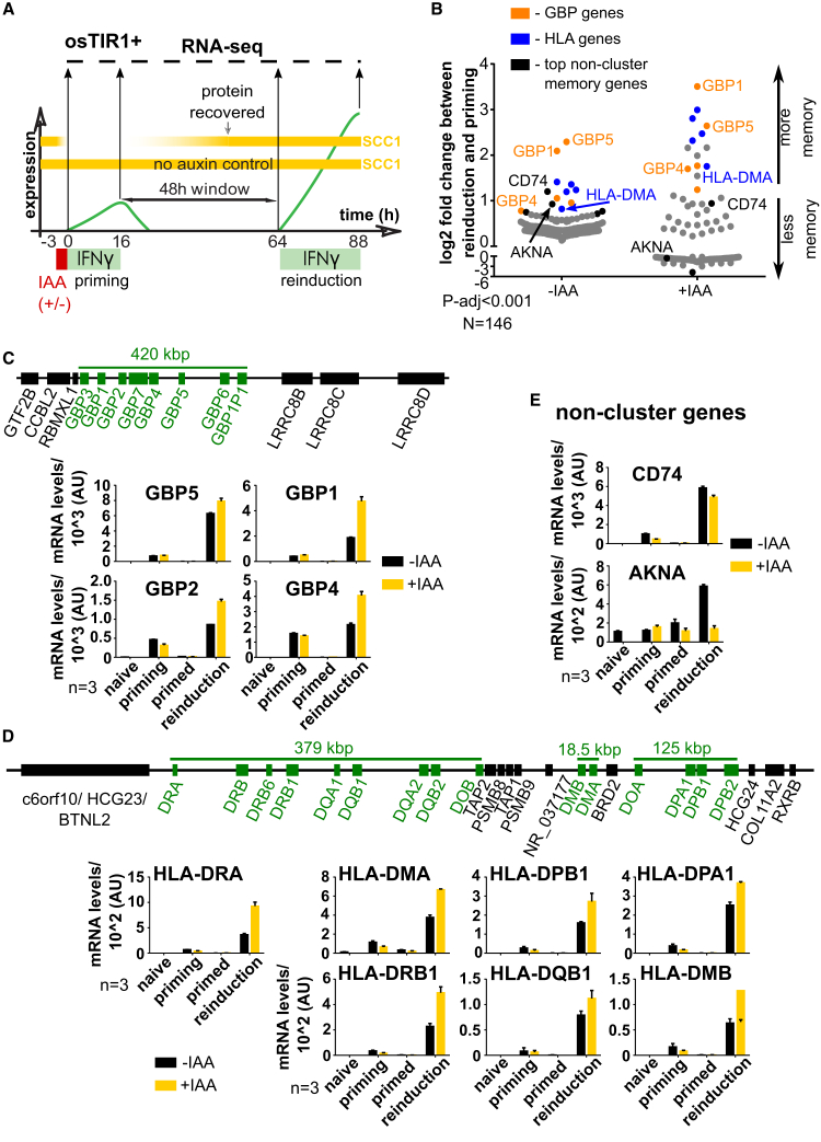 Figure 6