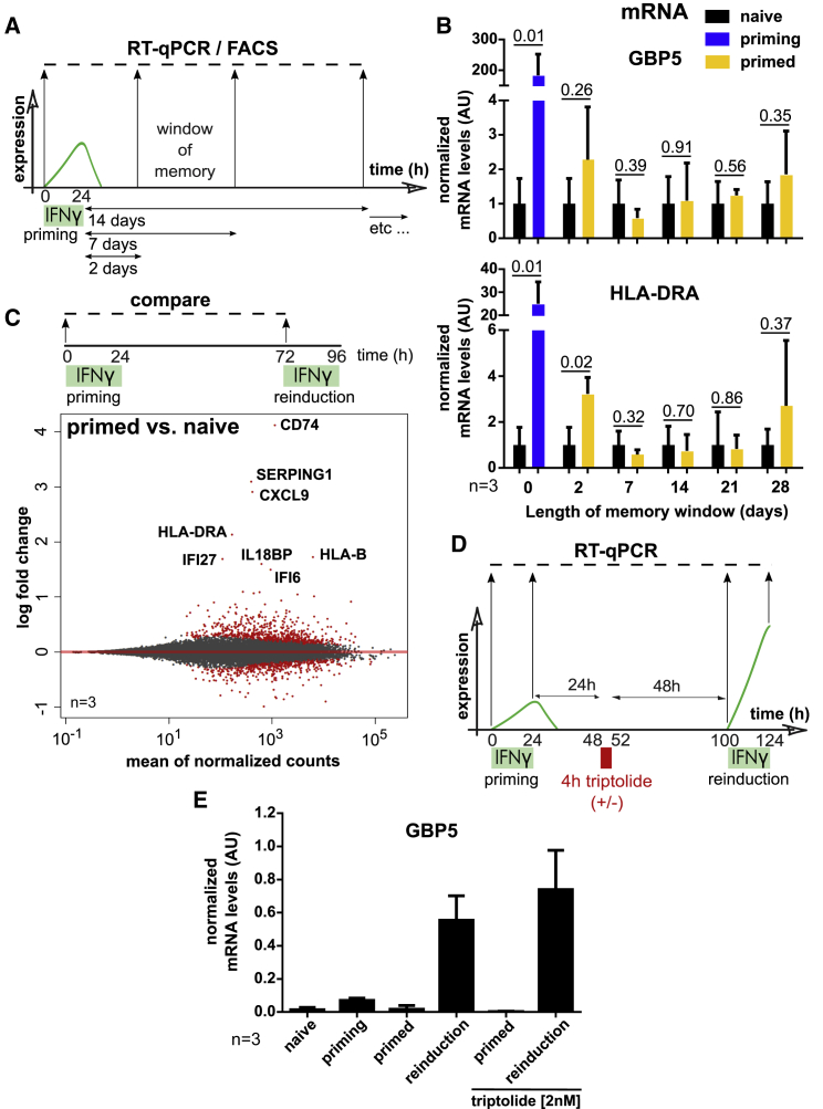 Figure 4