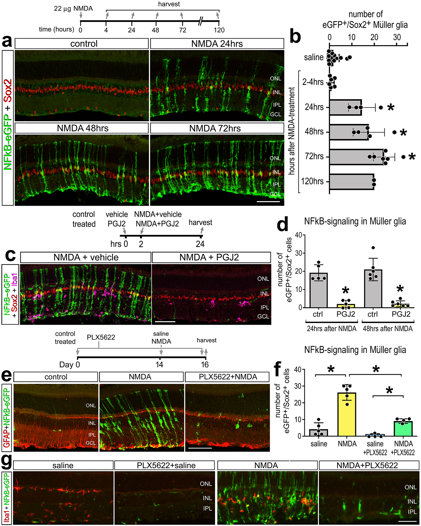 Figure 2: