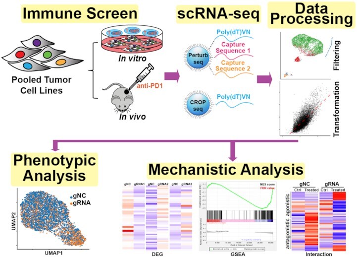 Graphical Abstract