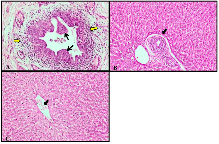Fig.7