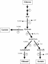 FIG. 6.