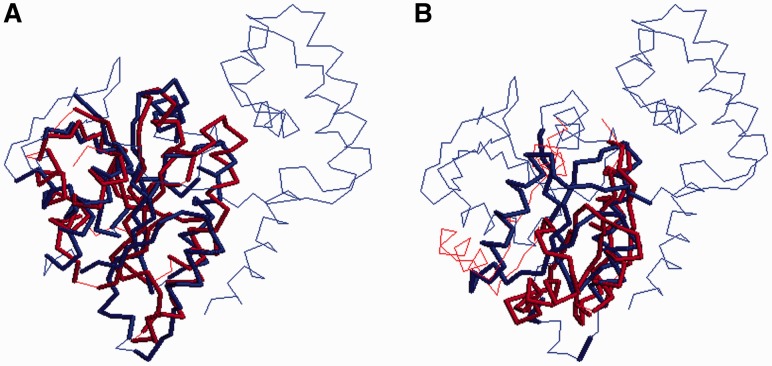 Fig. 10.