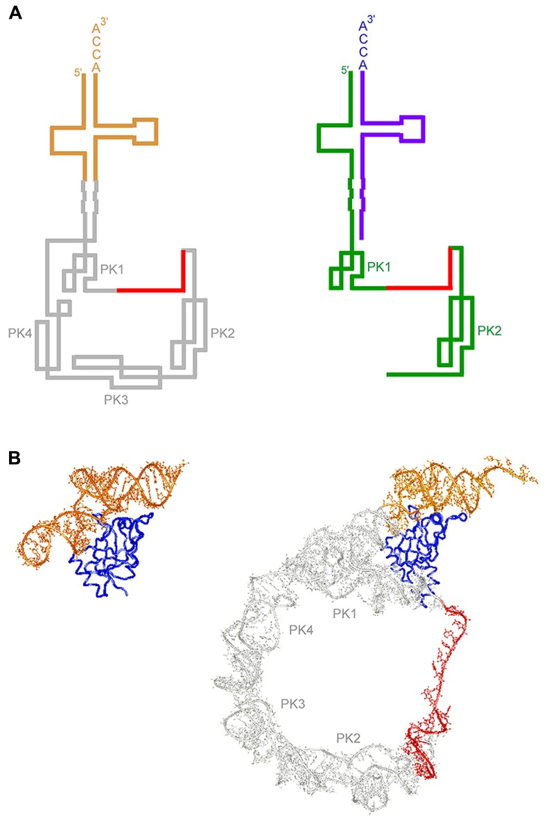 FIGURE 1