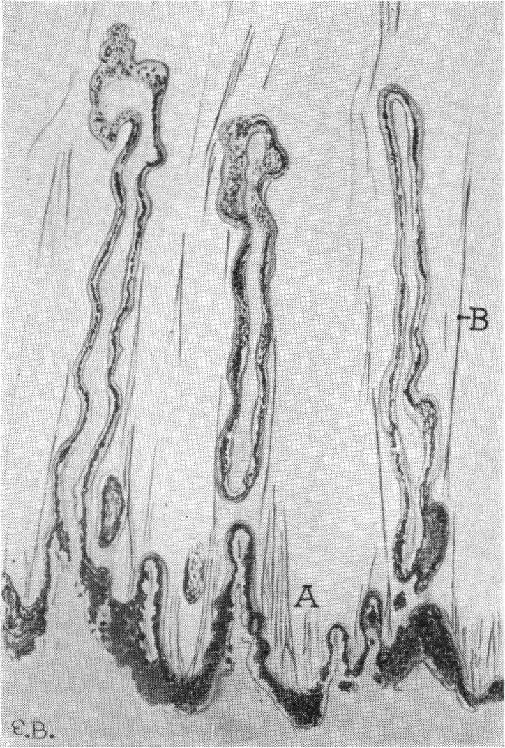 FIGURE 7.