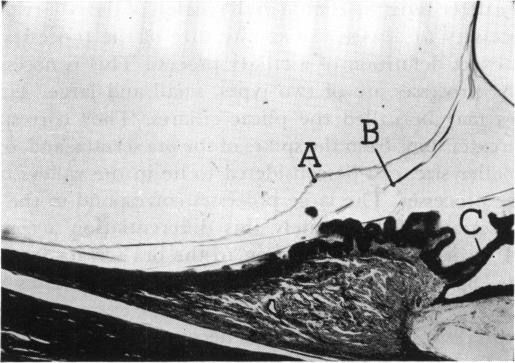 FIGURE 12.