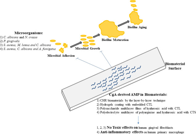 Figure 2