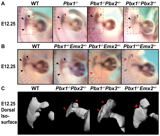 Fig. 3.