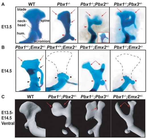 Fig. 2.