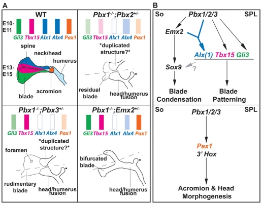 Fig. 8.