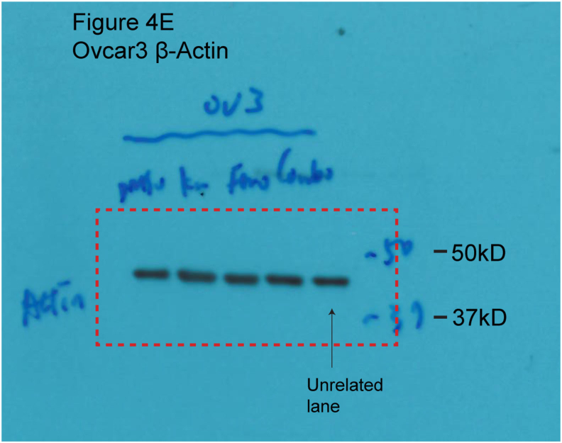 Fig S3.tif